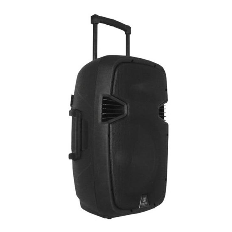 Foto do produto Caixa MAKPRO ATIVA 12P Bat c/ 2 Microfones - Bateria recarregável 