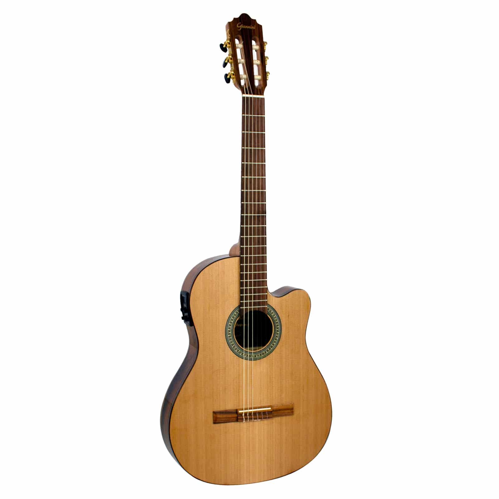 Foto do produto  Violão Náilon Eletroacústico Flat Performance Pro NFLE N