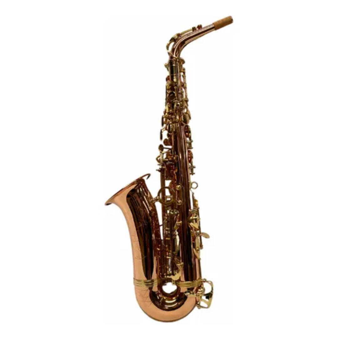 Foto do produto  SAX ALTO SEBASTIAN SSA-AX818QSN