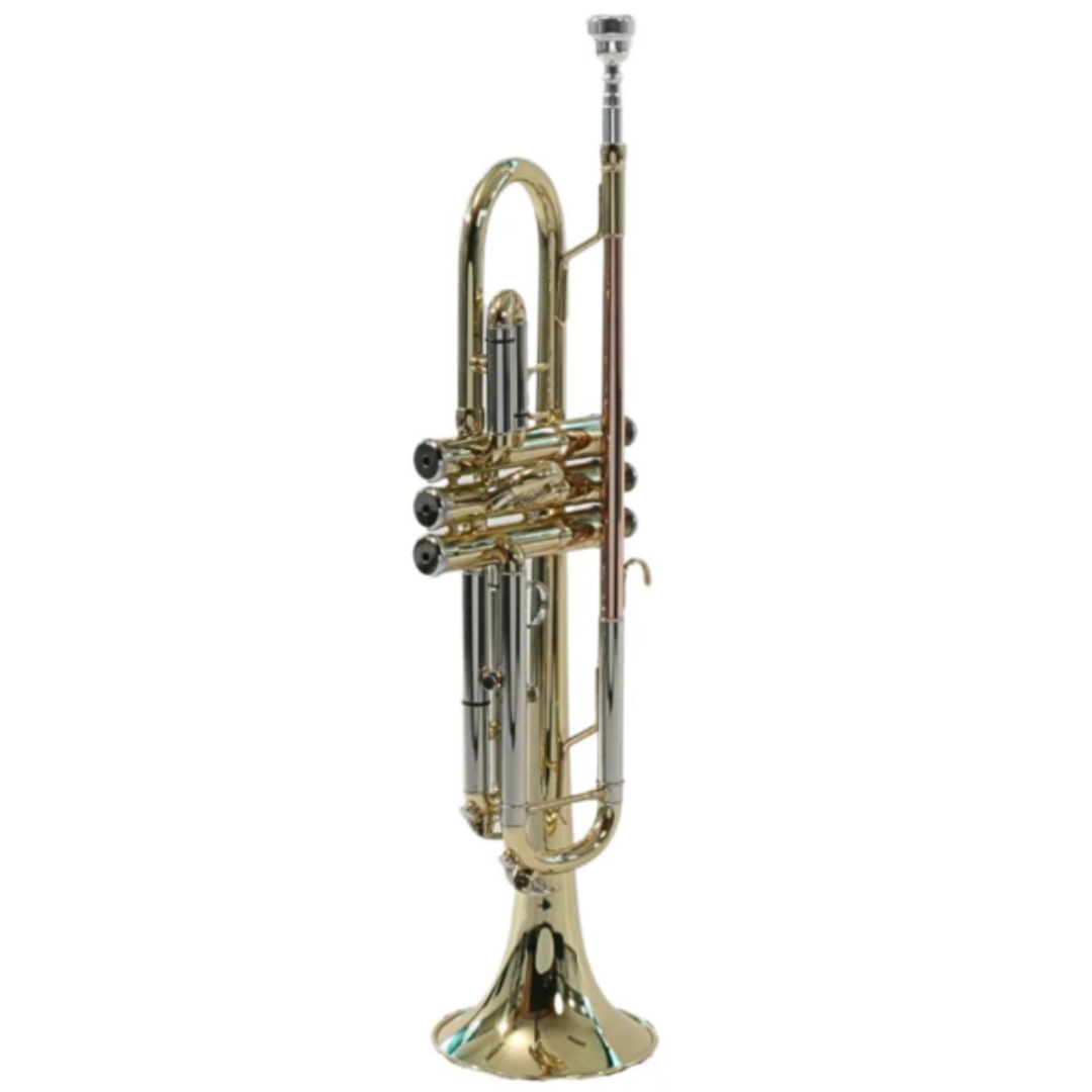 Foto do produto  TROMPETE SEBASTIAN DUPLA AFINAÇÃO SIB BB DÓ C STR-S450G