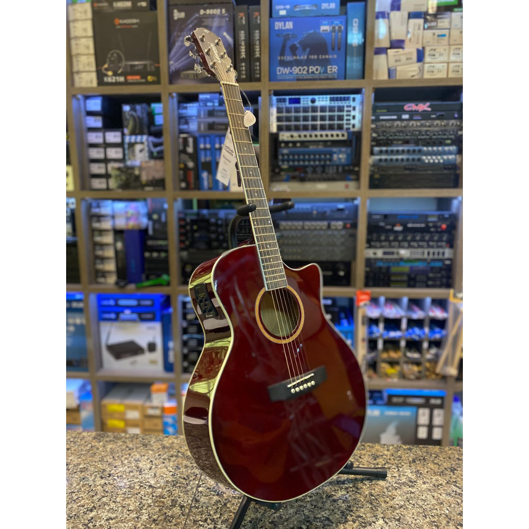 Foto do produto Violão Giannini Performance GN-3T (showroom)